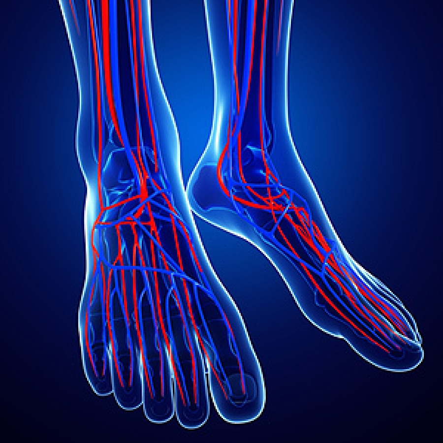 What Do The Numbers On An Ankle Brachial Index Test Mean 